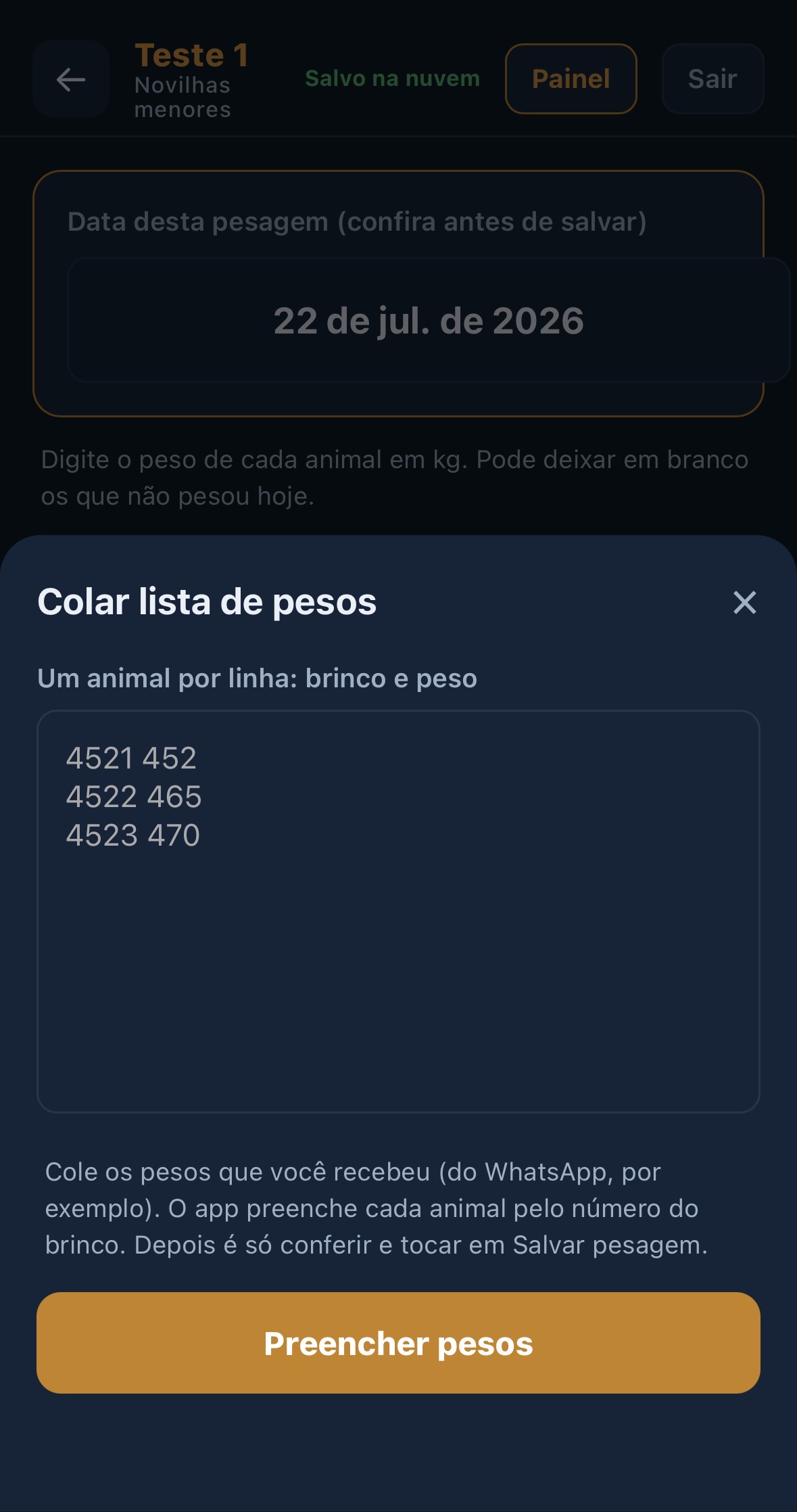Tela de colar lista de pesos do WhatsApp